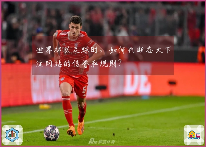 世界杯买足球时，如何判断各大下注网站的信誉和规则？