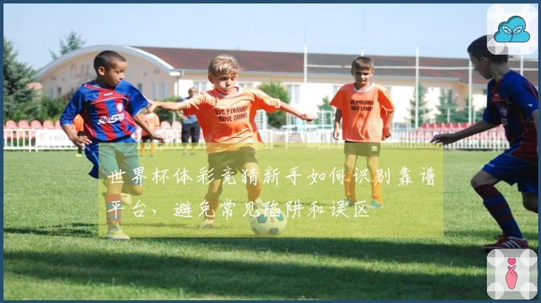 世界杯体彩竞猜新手如何识别靠谱平台，避免常见陷阱和误区