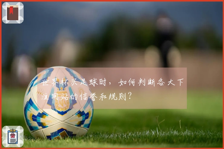 世界杯买足球时，如何判断各大下注网站的信誉和规则？